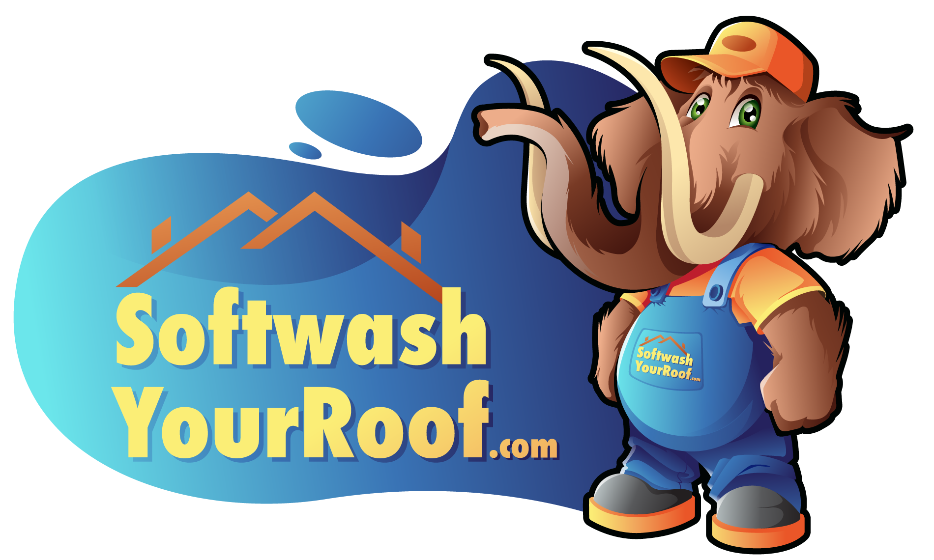 Softwash Your Roof