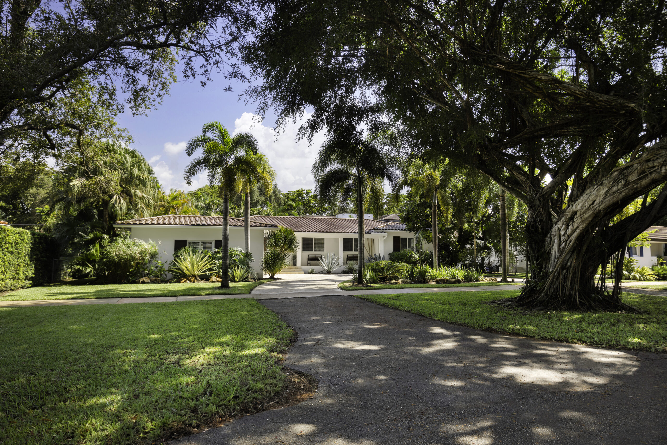 pressure-washing-miami-florida-frontdoor-garden-beautiful-green-vegetation-blue-sky-clouds-nature-1.jpg