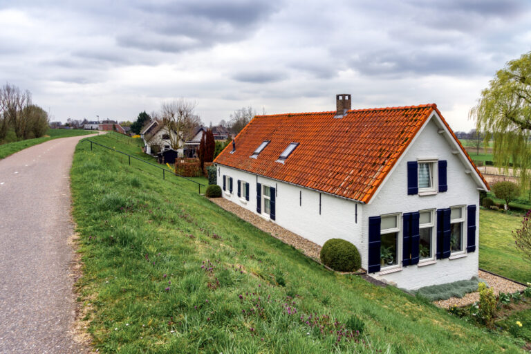 How to roof cleaning