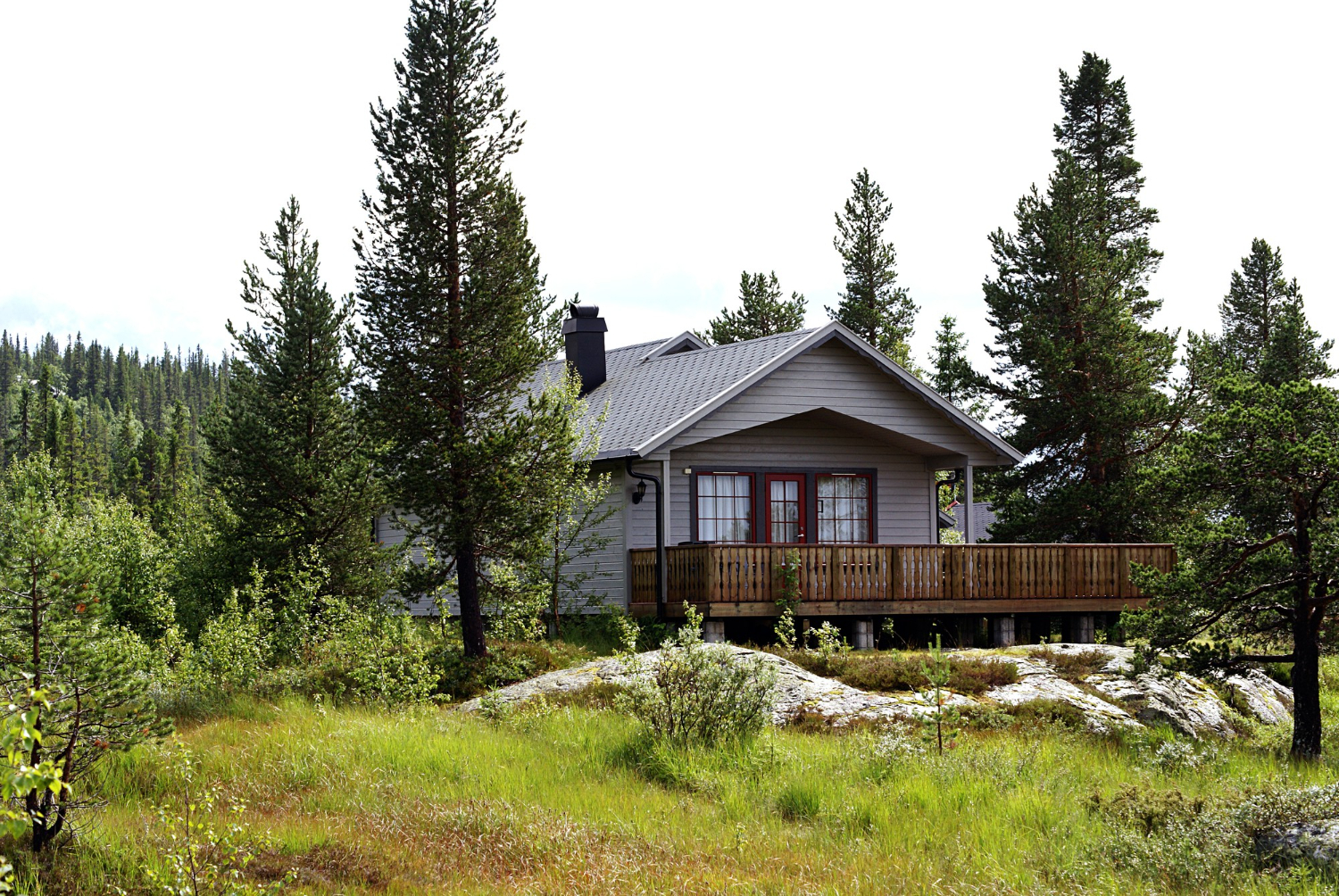 Soft Wash Roof Cleaning: A Complete Guide to the Process